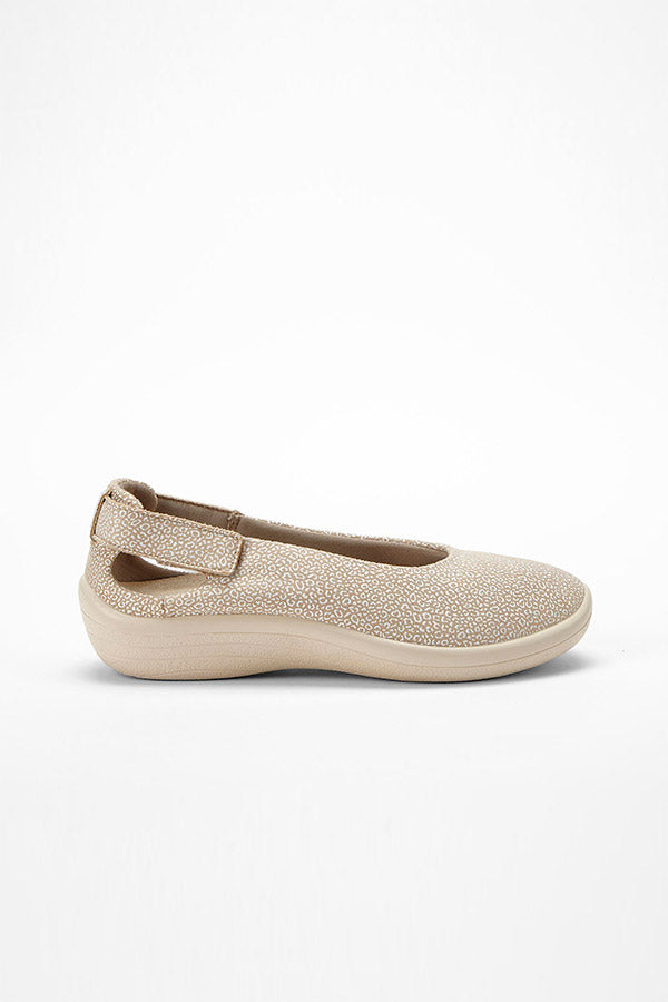Jasmund_Seashell_Arcopedico