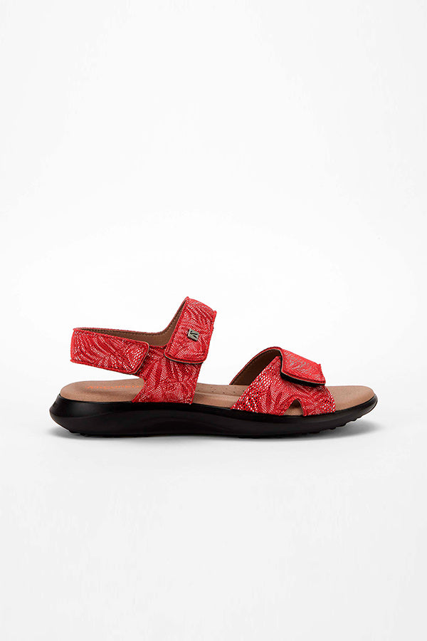 Corbett_Palm_red