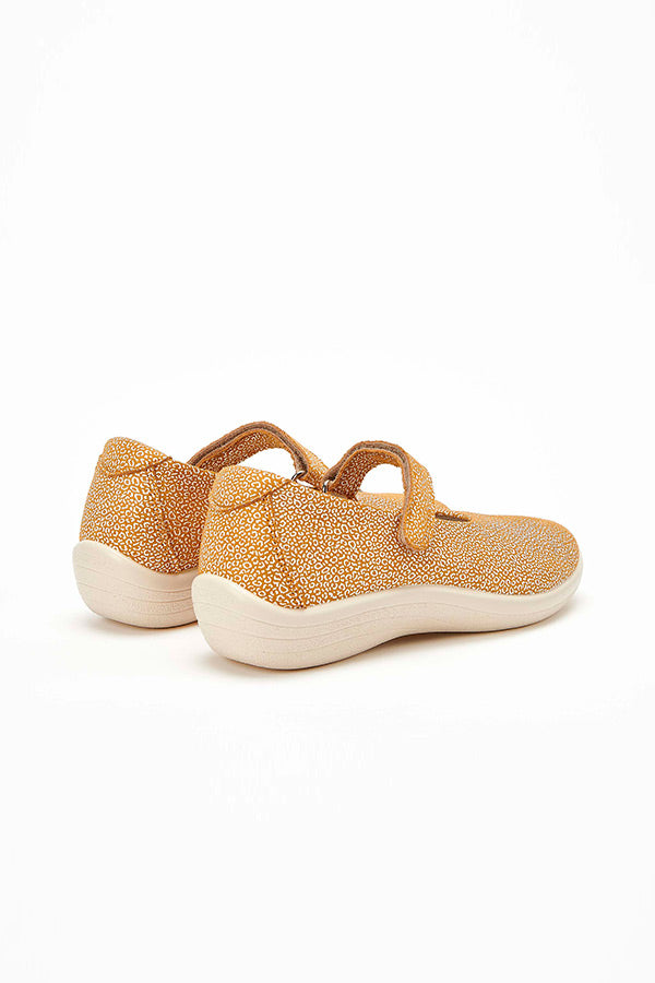 Estrela_seashell_Arcopedico