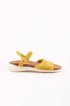 Arenal_yellow_Arcopedico