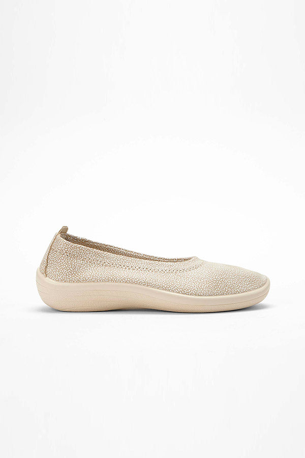 Gauja_Seashell_Arcopedico