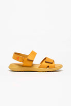 Corbett_yellow_Arcopedico