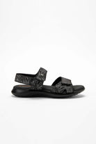 Corbett_Palm_black