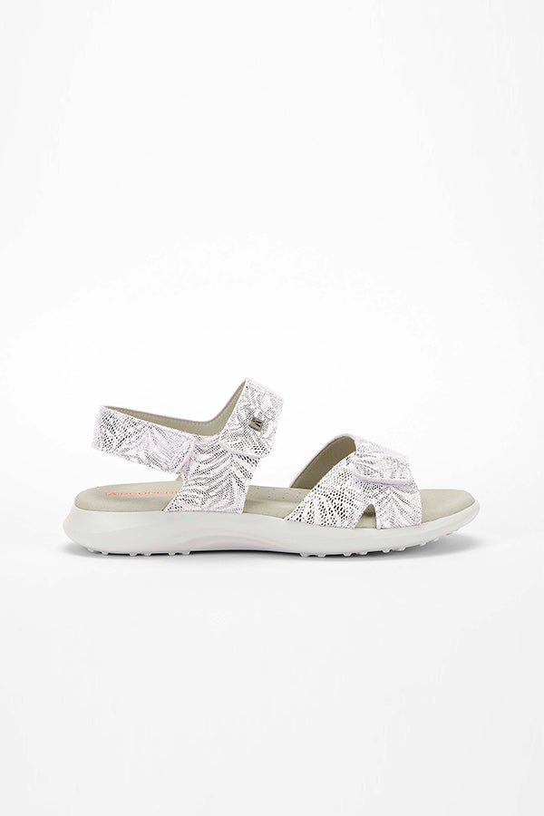 Corbett_Palm_white