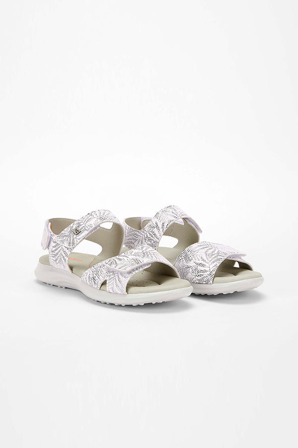 Corbett_Palm_white