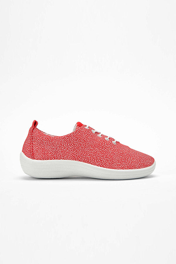 Lanin_Seashell_Arcopedico