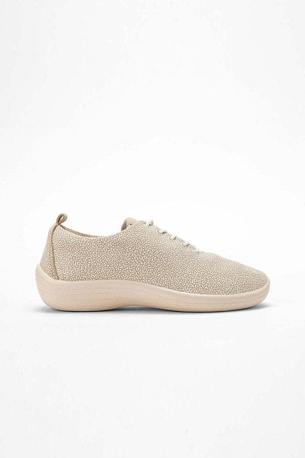 Lanin_Seashell_Arcopedico