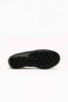 Acadia_black_arcopedico