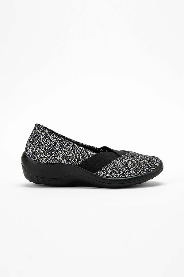 Acadia_black_seashell