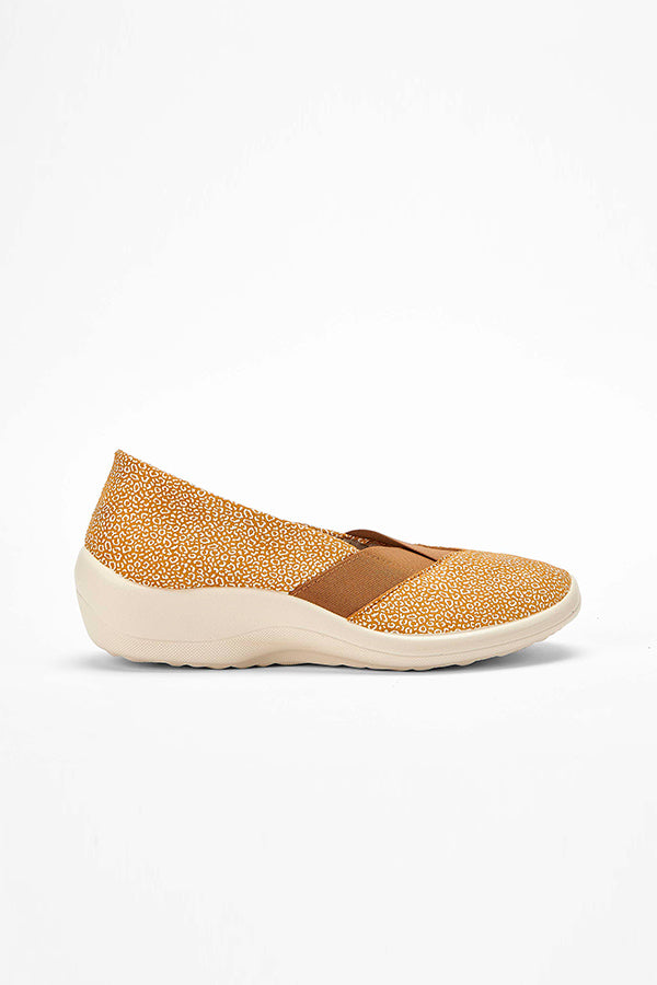 Acadia_brown_seashell