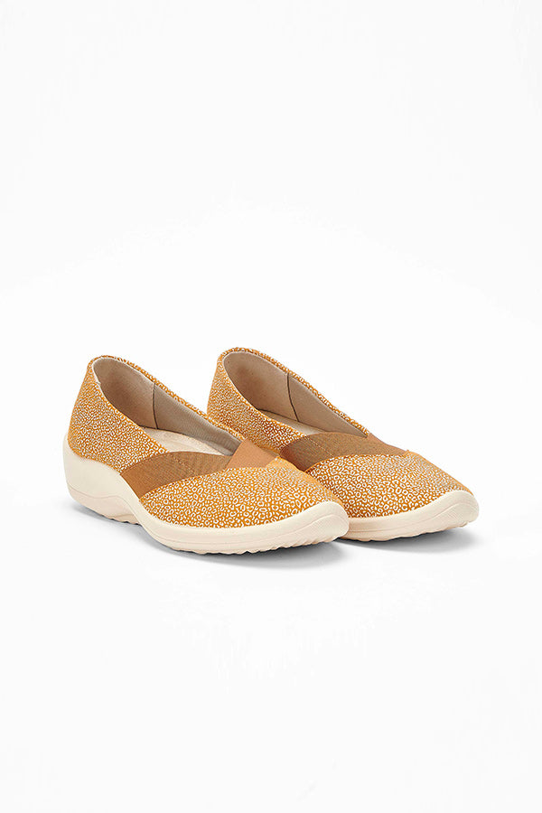Acadia_brown_seashell