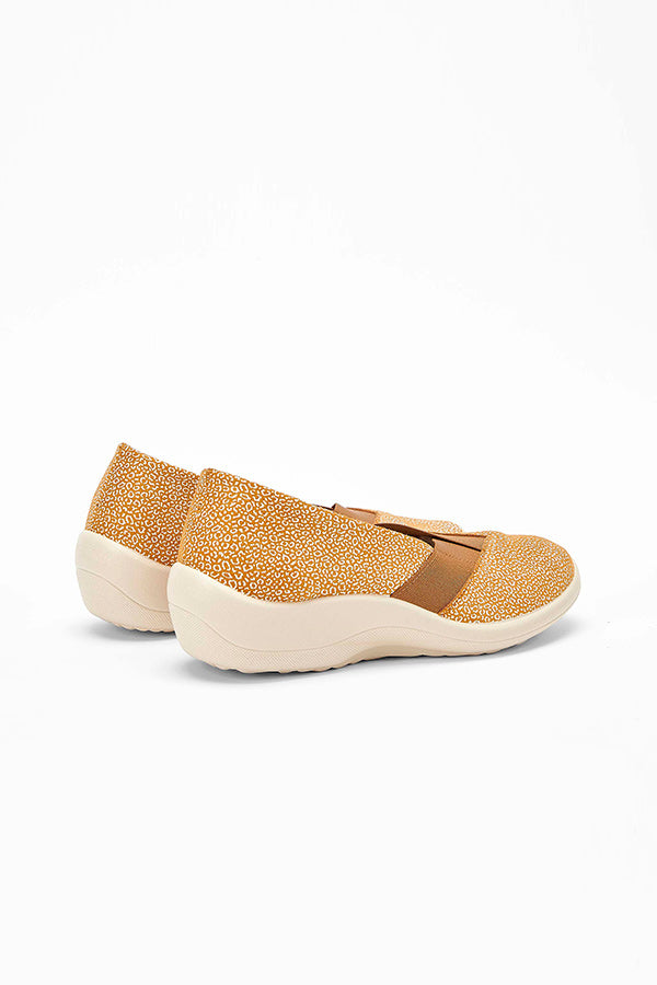 Acadia_brown_seashell