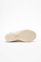 Acadia_brown_seashell